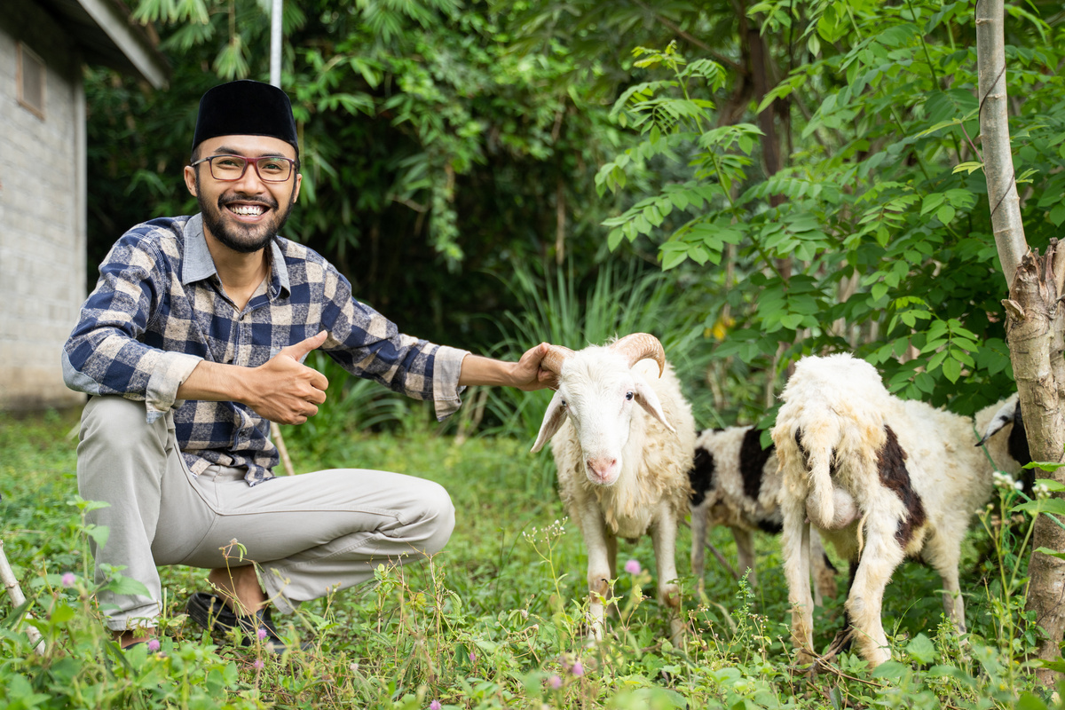 Man Farmer and Seller of Goat and Cow Checking His Goat