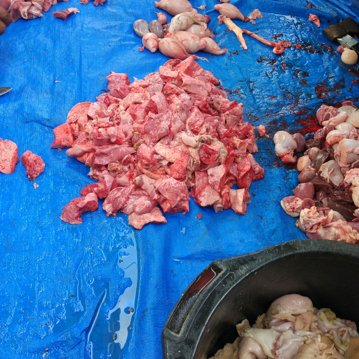 Lamb raw meat at the Feast of Qurban during Eid Al Adha