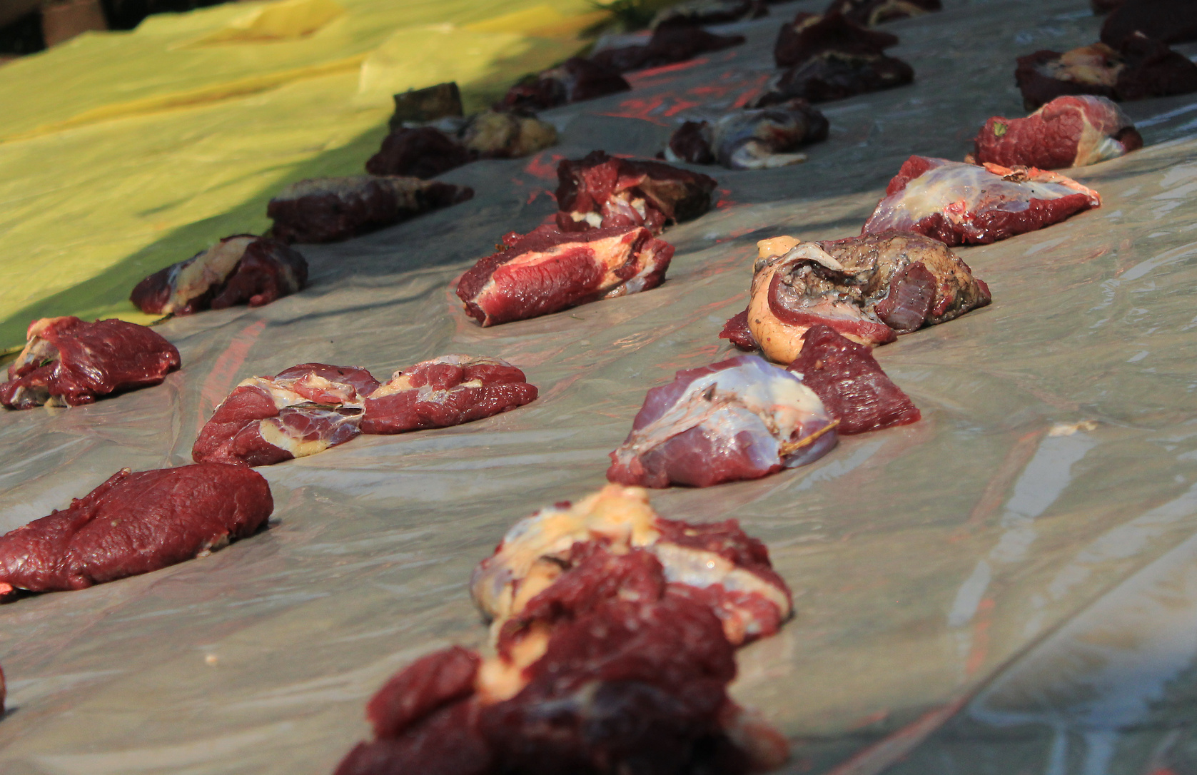 qurban meat